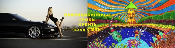 сатива Бронницы
