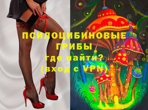 mdpv Бородино