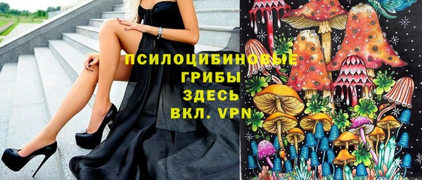 сатива Бронницы