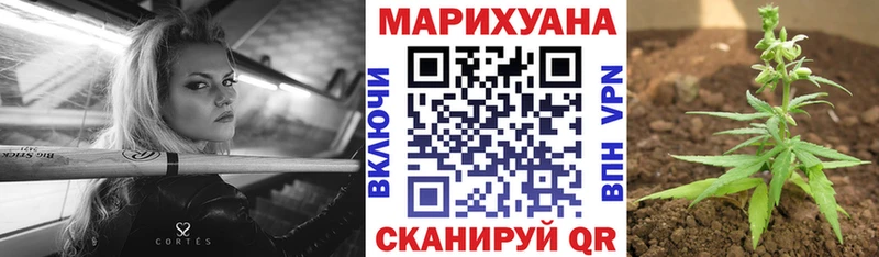 Бошки Шишки индика  mega ссылка  Туапсе  купить наркоту 